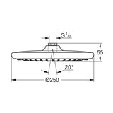 GROHE Tempesta 250 Shower Head Round
