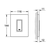 GROHE Skate Cosmopolitan Wc Wall Plate Stainless Steel